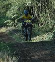 (250)