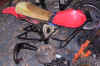kramermc79-1.JPG (54584 Byte)