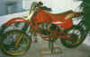 norbert-2.JPG (81103 Byte)