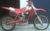 norbert-3.jpg (95106 Byte)