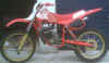 norbert-4.jpg (87892 Byte)