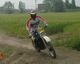 Bild 53